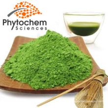 Organic Fresh Matcha Green Tea Powder 400 mesh